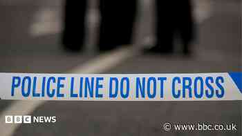 Murder arrest after woman found stabbed to death
