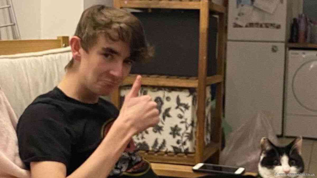 Student who killed Swansea man spoke about organising his memorial, court told