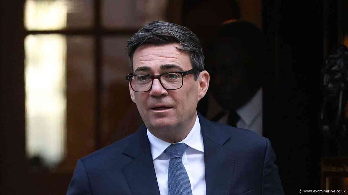 Andy Burnham says Brexit has done 'more harm than good' as he calls for new EU deal
