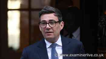 Andy Burnham says Brexit has done 'more harm than good' as he calls for new EU deal