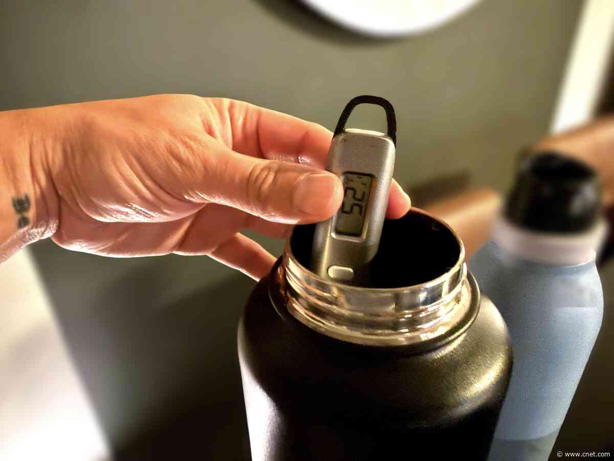 Can the Shark Tank Water Bottle Really Keep Drinks Cold for 36 Hours? I Tested One to Find Out