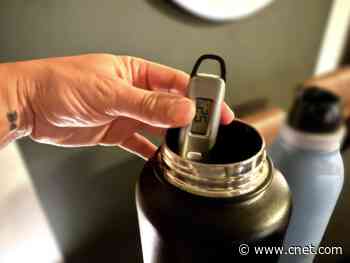 Can the Shark Tank Water Bottle Really Keep Drinks Cold for 36 Hours? I Tested One to Find Out
