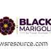 Travel Outlook, The Premier Hotel Call Center™, Introduces BLACK MARIGOLD™ Hotel Call Center Software to Turn Guest Conversations Into Revenue