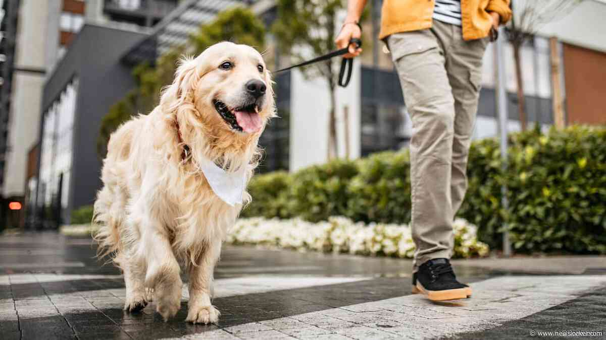 Weense hondenbezitters moeten urine hond verdunnen om natuur te beschermen