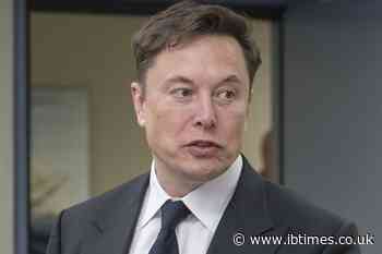 Elon Musk Says He Has Had 'Cyber Psychosis' Half a Dozen Times in Past Year Over AI 'Good Taste'