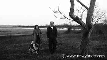 Indivisible: Lee Krasner And Jackson Pollock