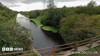 Homes set to go ahead despite environmental fears