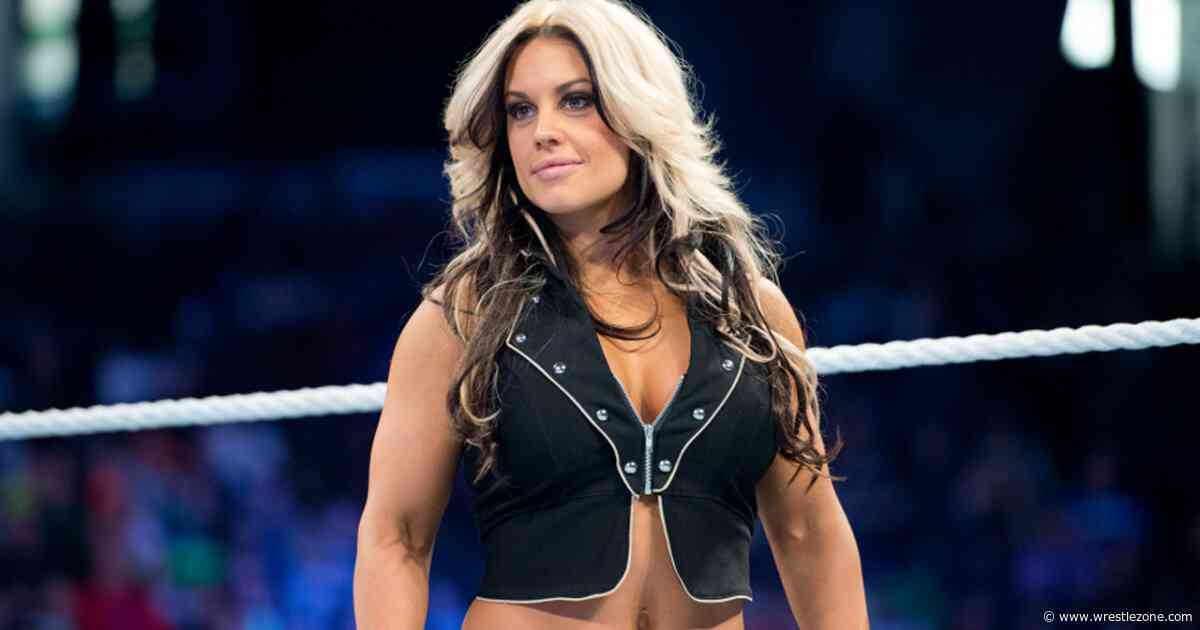 Ex-WWE Champion Kaitlyn Has No ‘Burning Desire’ To Return to the Ring