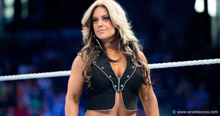 Ex-WWE Champion Kaitlyn Has No ‘Burning Desire’ To Return to the Ring