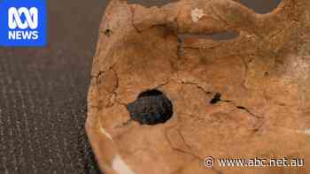 Remains may be earliest evidence of ancient human speared to death