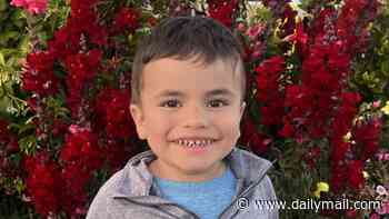 Adorable boy, 4, has 'childhood Alzheimer's' and pioneering treatment he is receiving leaves him at risk of meningitis