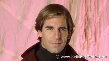 See Quantum Leap heartthrob Scott Bakula now — 33 years after sci-fi classic