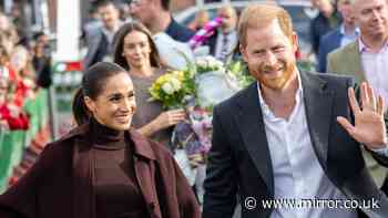 Should Harry and Meghan be allowed to undertake faux royal engagements? Take our poll and have your say