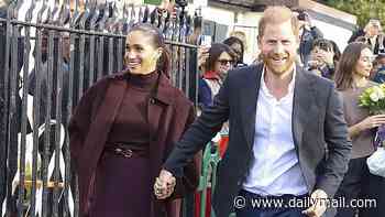 SHANE WATSON: Meghan's not playing it safe anymore. She's back - in £3,300 of stealth wealth burgundy... without those pesky tights