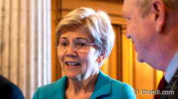 Warren calls Treasury Department fine of Bank of America a 'slap-on-the-wrist'