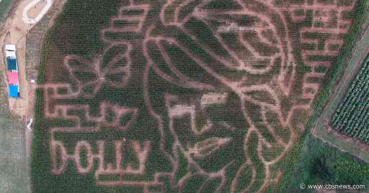 Jaemor Farms creates Dolly Parton-themed corn maze in North Georgia
