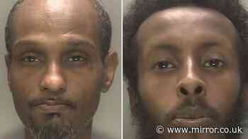 Girl, 11, abducted from Birmingham street before sexual assault as two men jailed