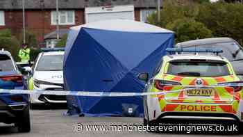 'Screams' heard and cars smashed as young woman stabbed to death in horror on Newton Heath estate