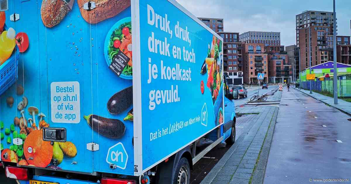 Albert Heijn: Pas volgende week weer bezorging van online bestelde boodschappen