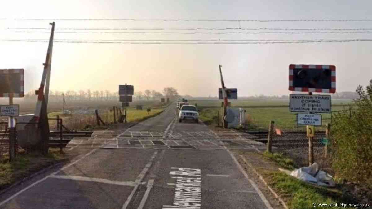 Driver who died in crash with train at level crossing is named
