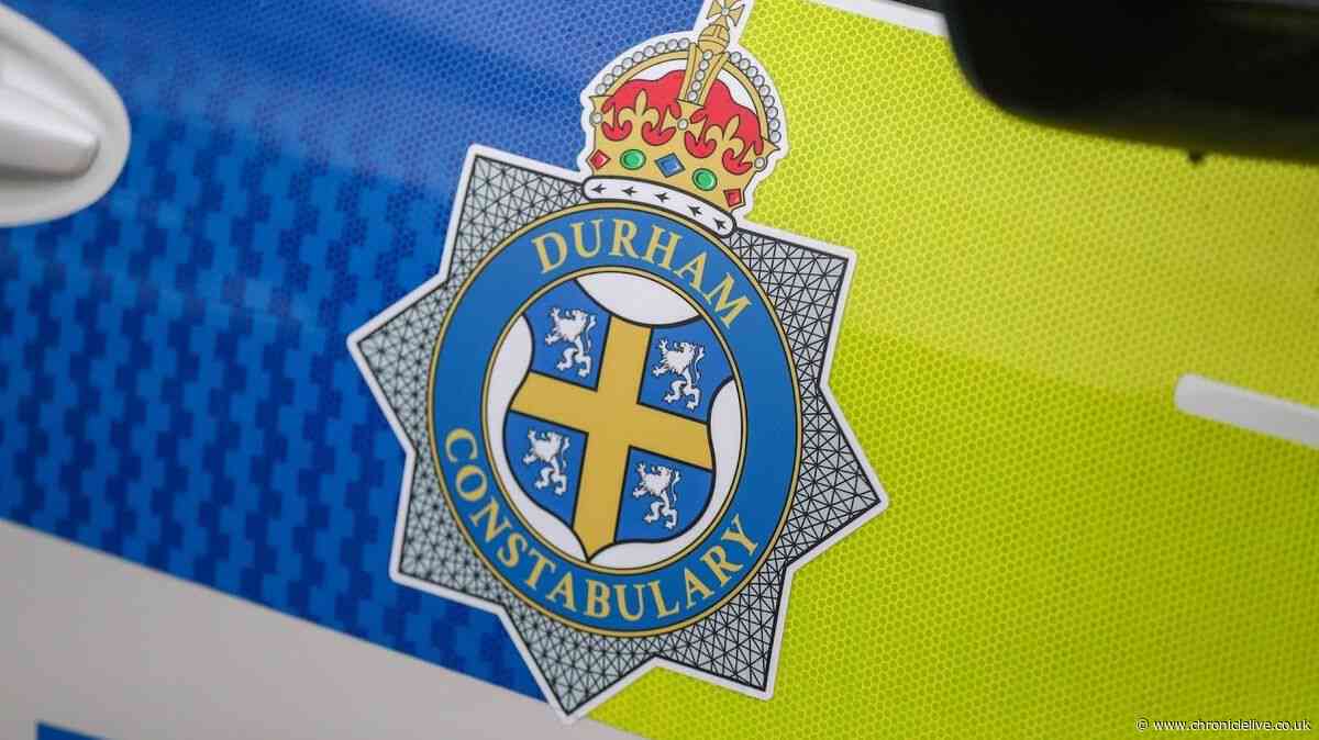 Two arrested after suspected stolen car crashes on A1(M) in County Durham after police chase