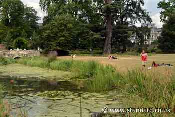 Bid to halt 1,200-seat theatre in historic London park voted down