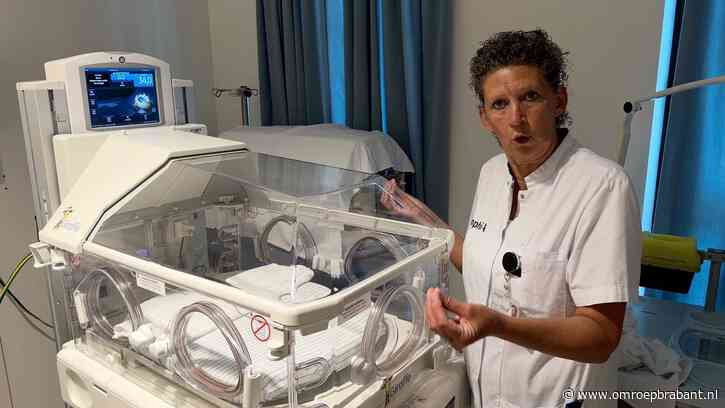 Couveusebaby's en rokende huiseigenaren: dit gebeurde vandaag