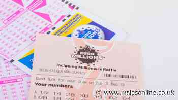 Every Lotto millionaire winner in Wales mapped