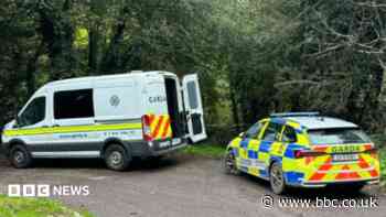 Investigation launched after male body found in County Cork