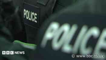 Firework set off at police dealing with antisocial behaviour