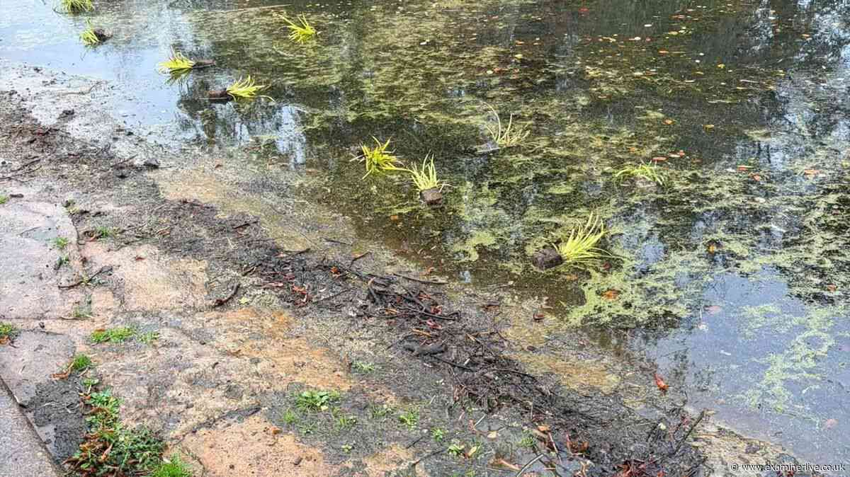 'Soul-destroying' carnage left by vandals in York park