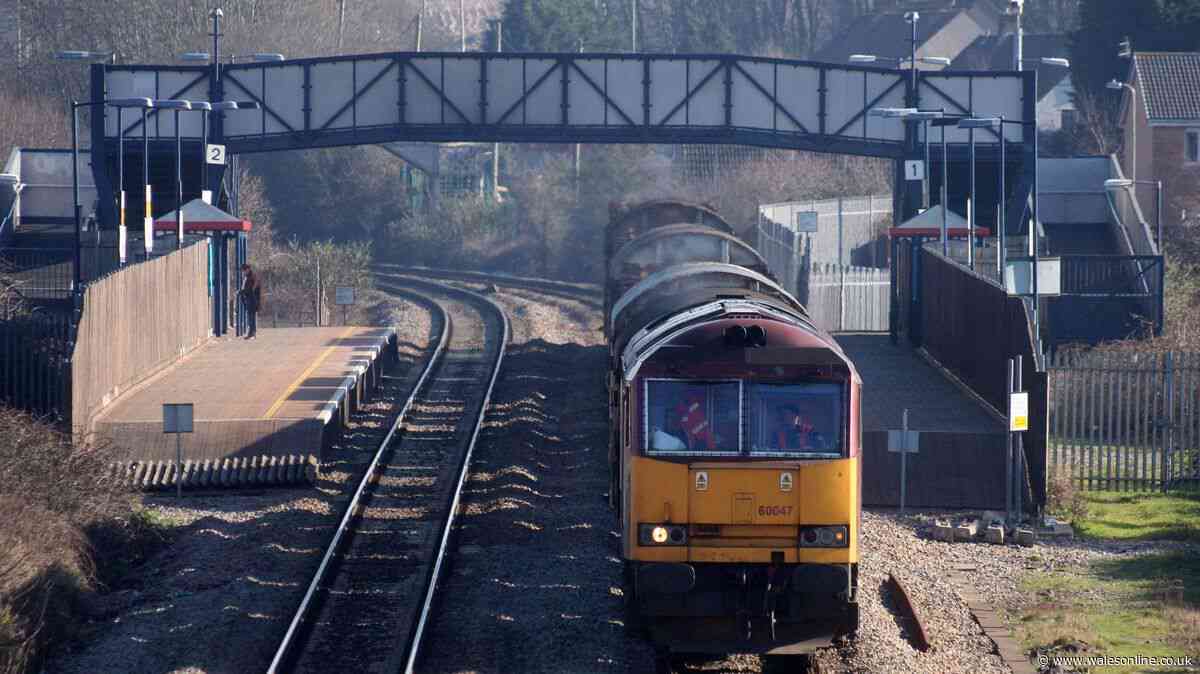 Severe rail disruption and cancellations after person hit by train