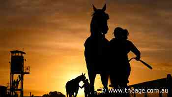 Why a cricket cult hero from across the ditch is coming for one of our biggest races