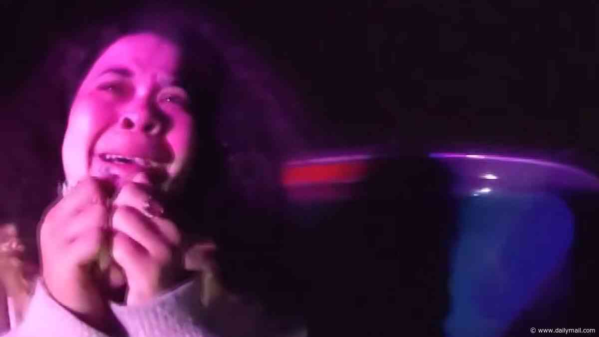 Plus size influencer, 35, who is also DEI scholar identified as mother accused of crashing car and trying to kill her two children on busy freeway, as colorful past is exposed