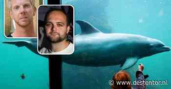 Verslaggevers Paul en Castor beantwoorden lezersvragen over nieuwe klap voor het Dolfinarium
