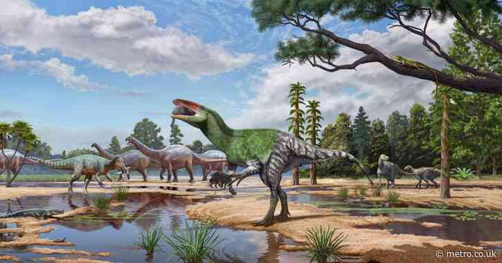 A 4’11” dinosaur ‘more dangerous than a T Rex’ once terrorised the Isle of Wight