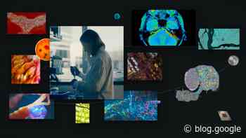 Research@ 2026: Novel capabilities and intelligence