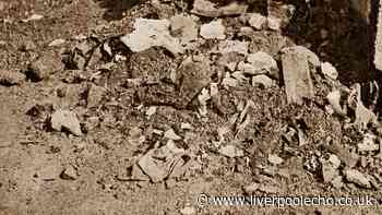 Lost photos of terrifying poltergeist that wrecked family home discovered