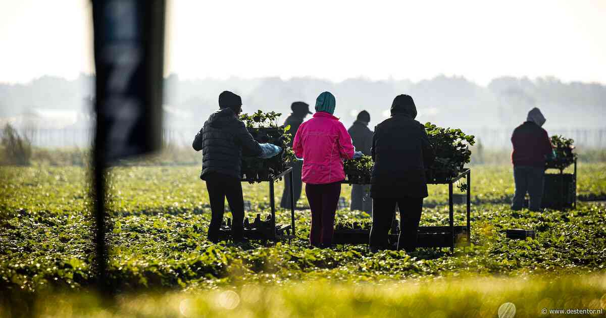 Vlak voor het faillissement verschuift het geld, nu eist de curator bijna 4 miljoen terug