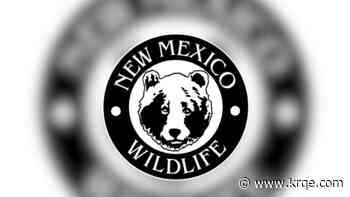 New Mexico Department of Wildlife accepting submissions for Fish Art Contest
