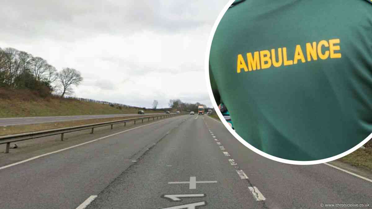 A1 crash: Newcastle arrest over 'encouraging assault' after Elena Chiriac, 22, dies