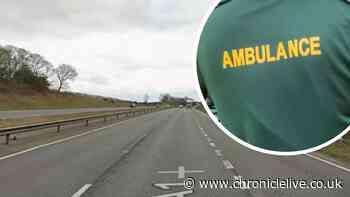 A1 crash: Newcastle arrest over 'encouraging assault' after Elena Chiriac, 22, dies