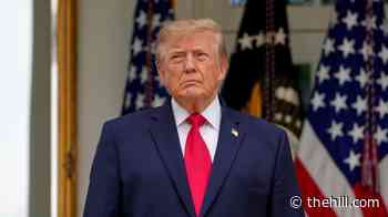 Live updates: Zacharia downplays bar exam; Trump quashes Hegseth's plan to livestream execution