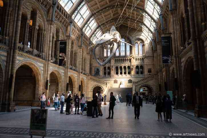 Dino Bones Held in UK Museum for 100 Years Identified as New Species