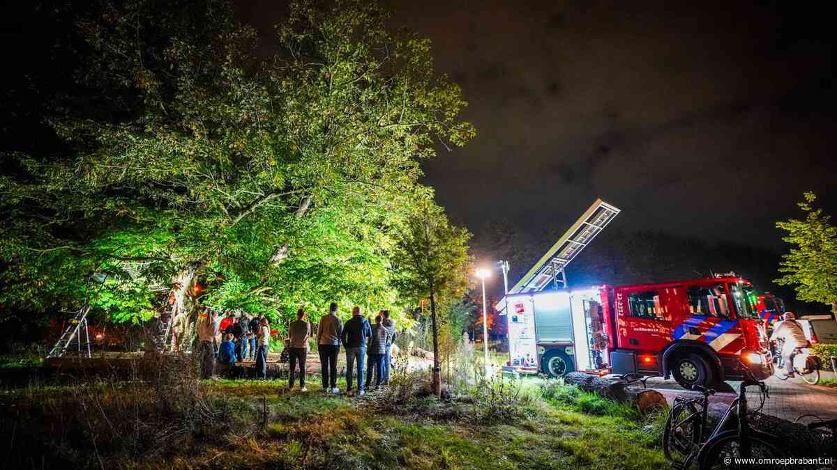 Brand in monumentale boom in Eindhoven houdt brandweer al uren bezig
