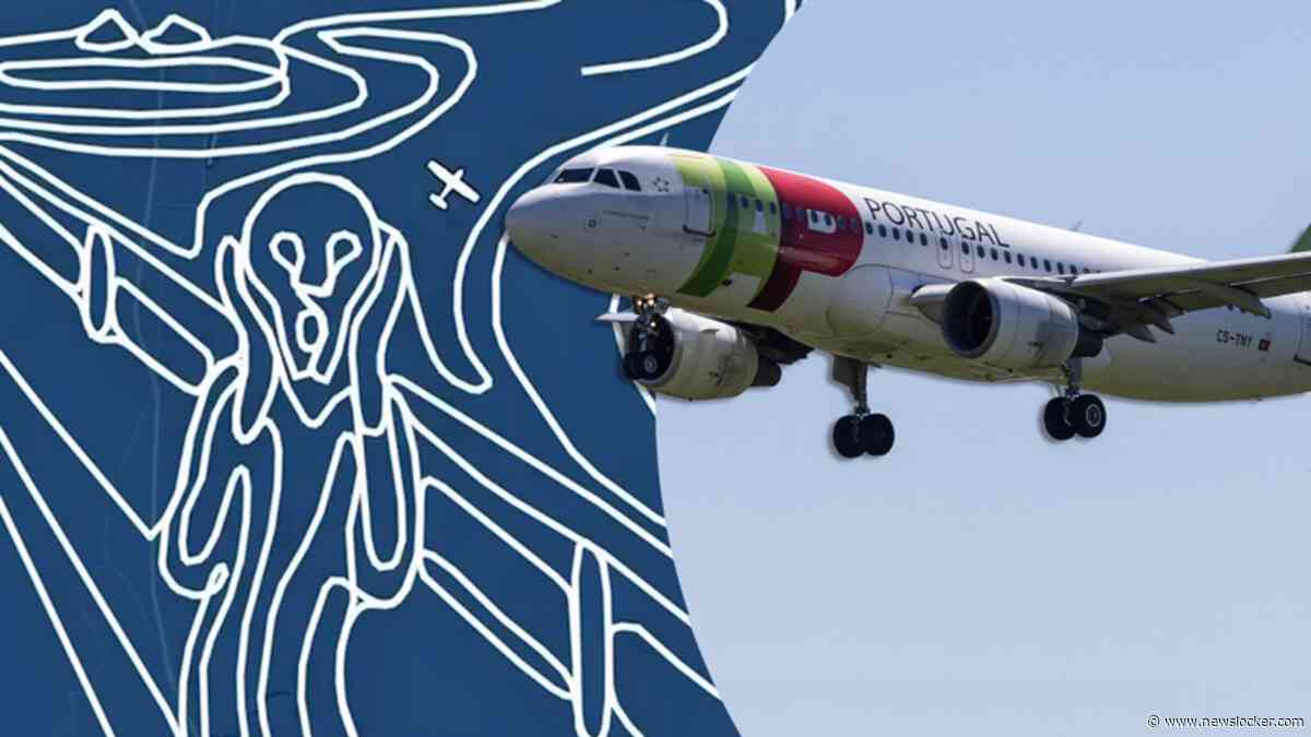 Opmerkelijk: piloot tekent wereldberoemd schilderij na in de lucht