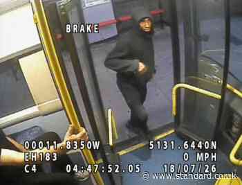 Police hunt man after arson attack in north London