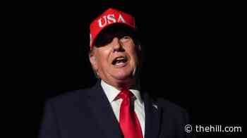 Trump: Musk has 'a little problem'