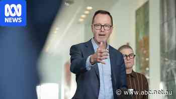 Live: Shoebridge says he had 'discussion' with Steele-John before leave of absence