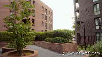 New South London council housing dubbed a 'living landscape' wins this year's RIBA Stirling Prize
